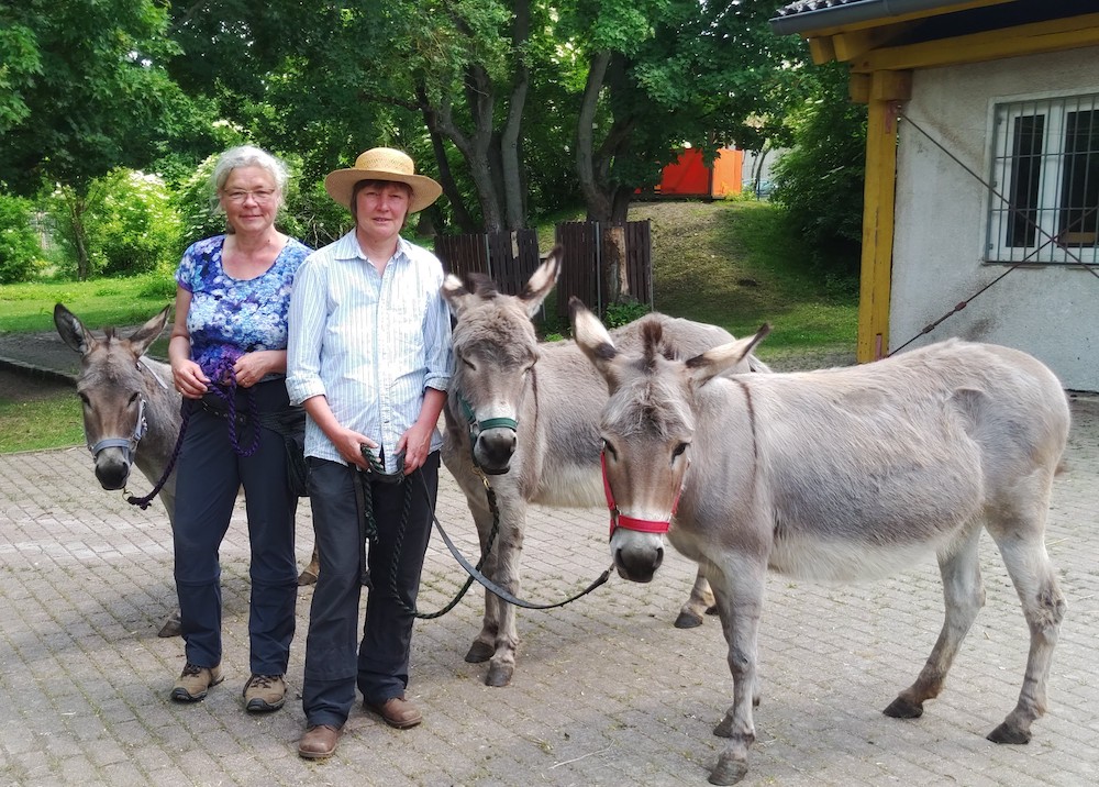 GudrunRathkePetraKaltensteinFridaEmilZoraErzaehlwanderun